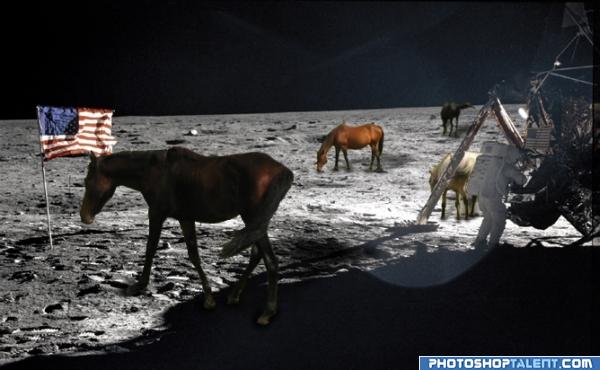 Horses on the Moon